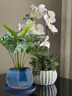 Yukfona ceramic plant saucer collection in multiple sizes.