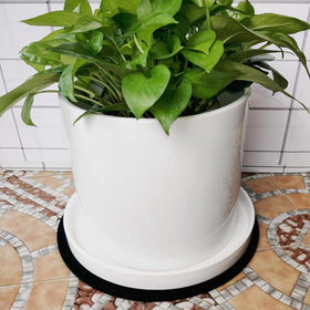 Yukfona decor-matching planter saucer enhances any pot and home aesthetic