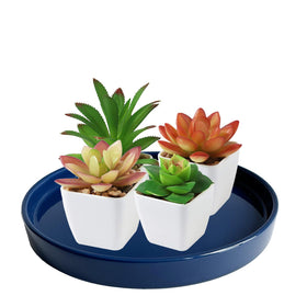 Yukfona ceramic plant saucer doubles as drainage tray.