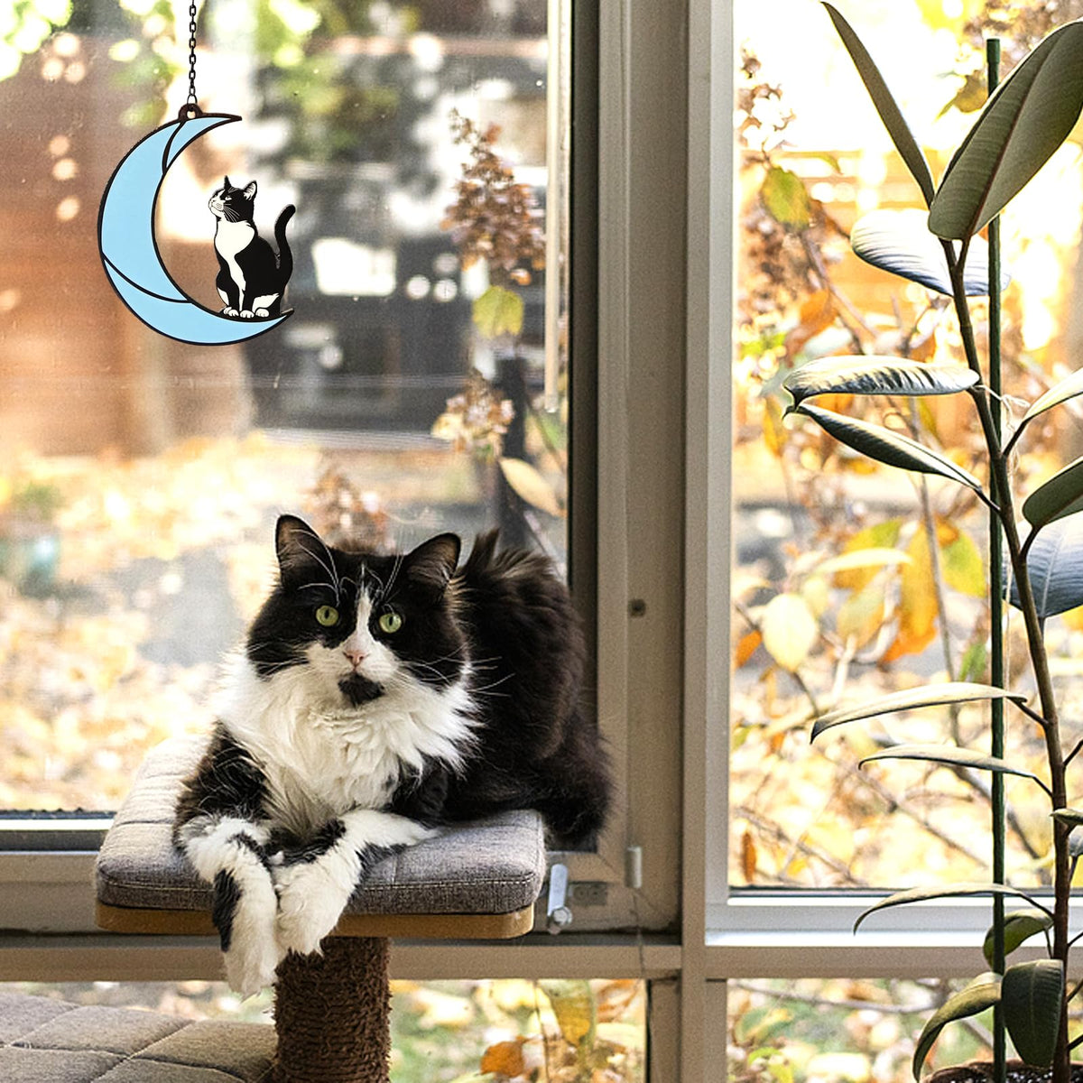 YULAIKUAI cat moon suncatcher outdoor-ready for garden or patio light.