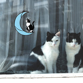 YULAIKUAI cat moon suncatcher packaging shows protective foam and sturdy box.
