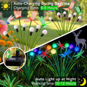 yulloyello bright six-led strands illuminate evenings with color