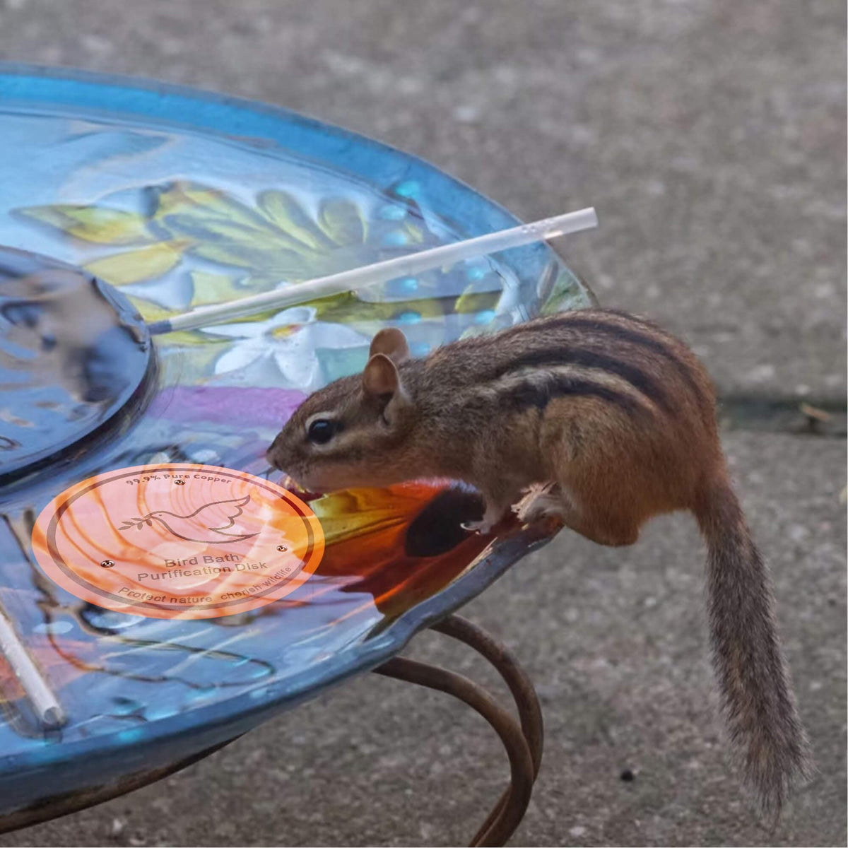 YUMEWARM product water-contact tray image demonstrates low-profile design conserving space.