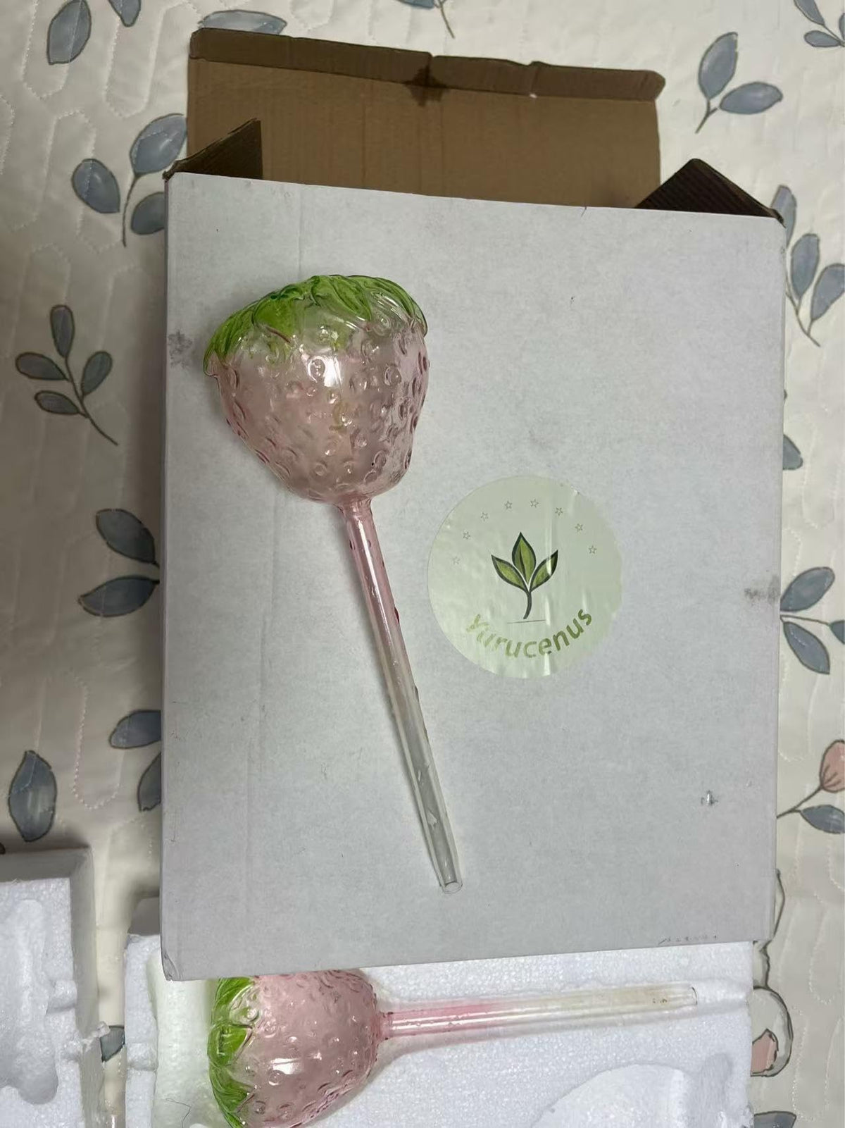 Yurucenus gift ready plant set makes a charming present for plant lovers.