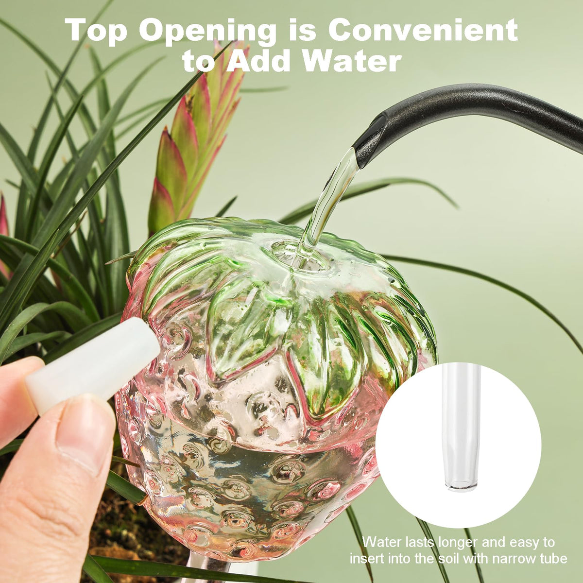 Yurucenus glass self-watering globes in indoor setting with clear glass for easy water level checks.