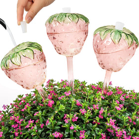 Yurucenus strawberry globes set 3 viewed from top for decorative, self-watering indoor plant care.
