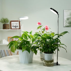 YUYMIKA height adjustable from 7 to 26 inches fits various desks.
