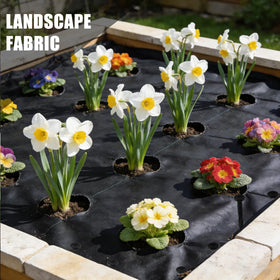 YYAYYA multiuse landscape spike supports various exterior projects.