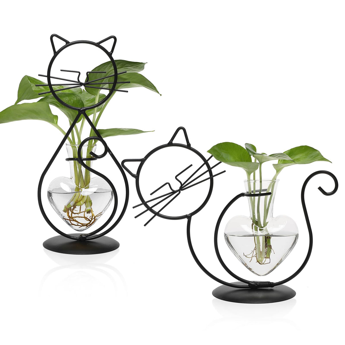 YYHglass plant propagation vase with cat frame for desk decor