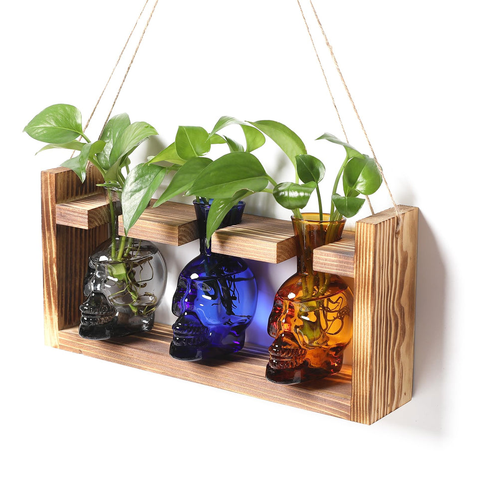 YYHglass skull propagation bottles for stylish terrarium setups and plant propagation