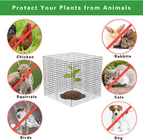 YYRZZ 6-pack wire plant protectors provide durable protection against animals