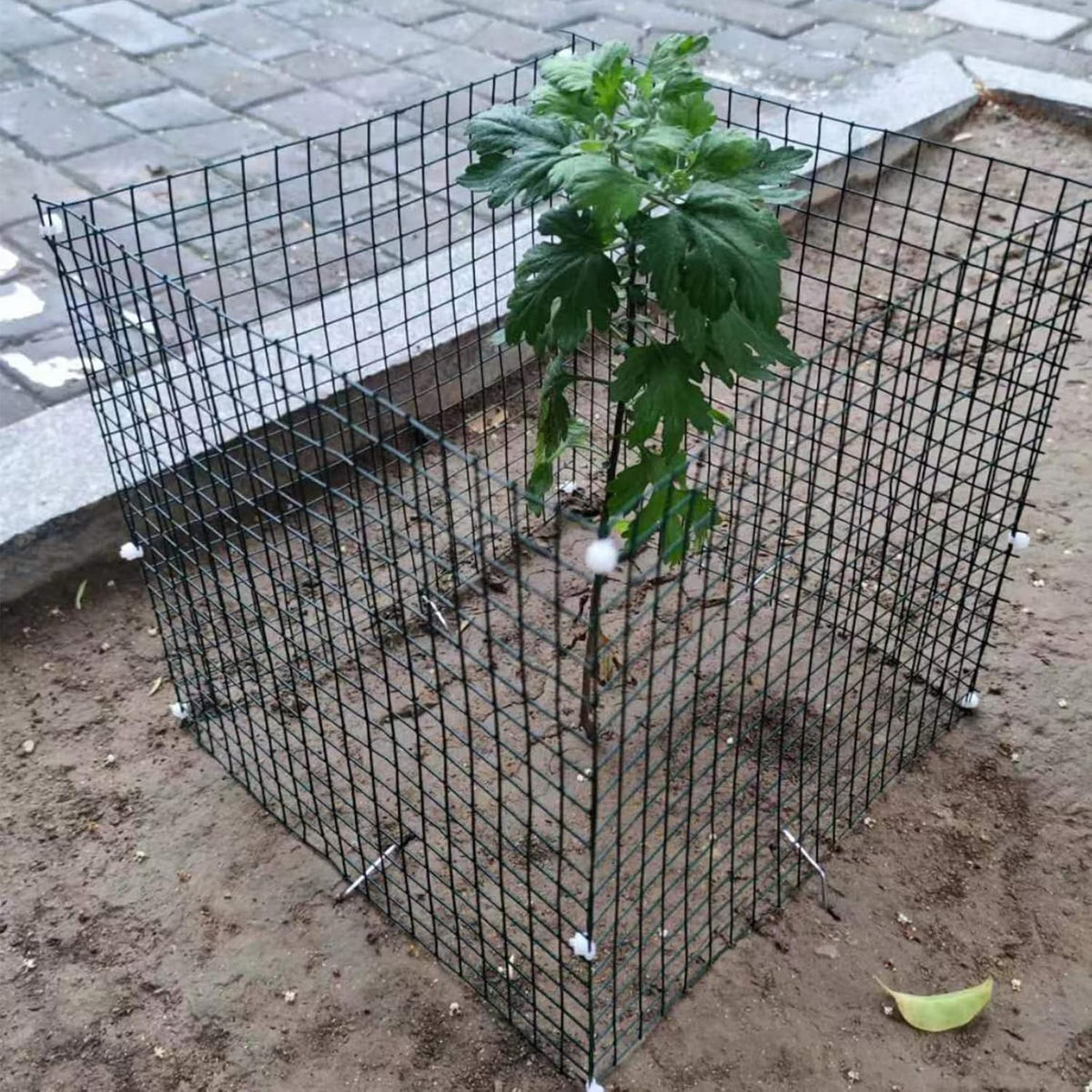 YYRZZ animal barrier for vegetables, shrubs, and herbs in gardens