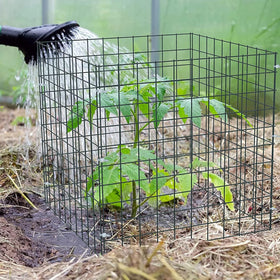 YYRZZ open mesh design lets sun and water reach roots