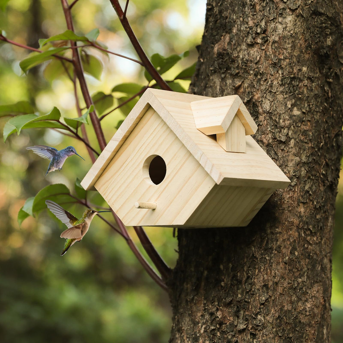 YYYUAN spacious interior suited for finches and sparrows