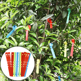 ZALALOVA rubber bands secure transplanted plants neatly