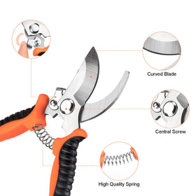 ZALALOVA grafting films protecting wounds during wrapping and sealing.