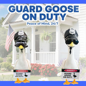 ZANOLY goose eyeglasses complete the look for yard statues, adding whimsy.