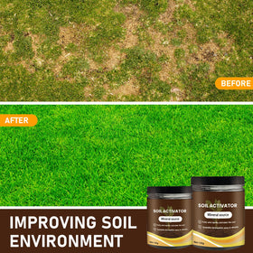Zardlect plant nutrition boost for vibrant leaves and stronger stems in containers