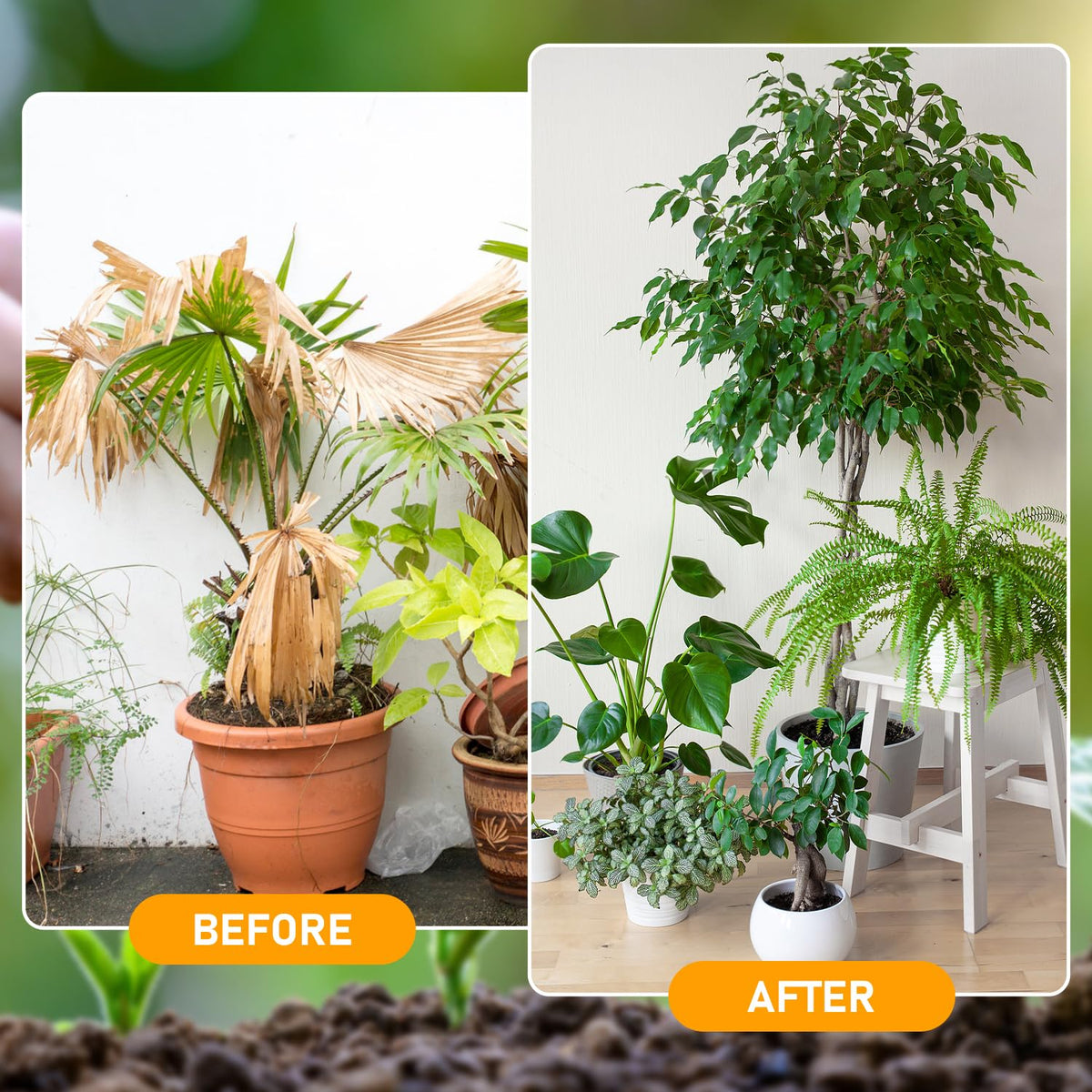 Zardlect raised garden bed soil treatment supports healthier soil structure