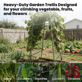 ZATRO arch trellis in patio setup to frame plants