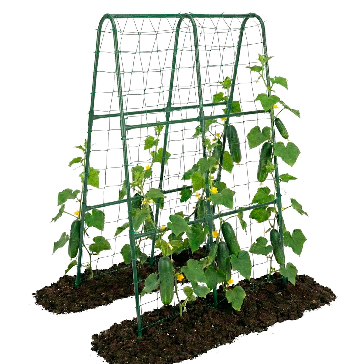 ZATRO cucumber trellis arch green, side view showing sturdy climbing support.