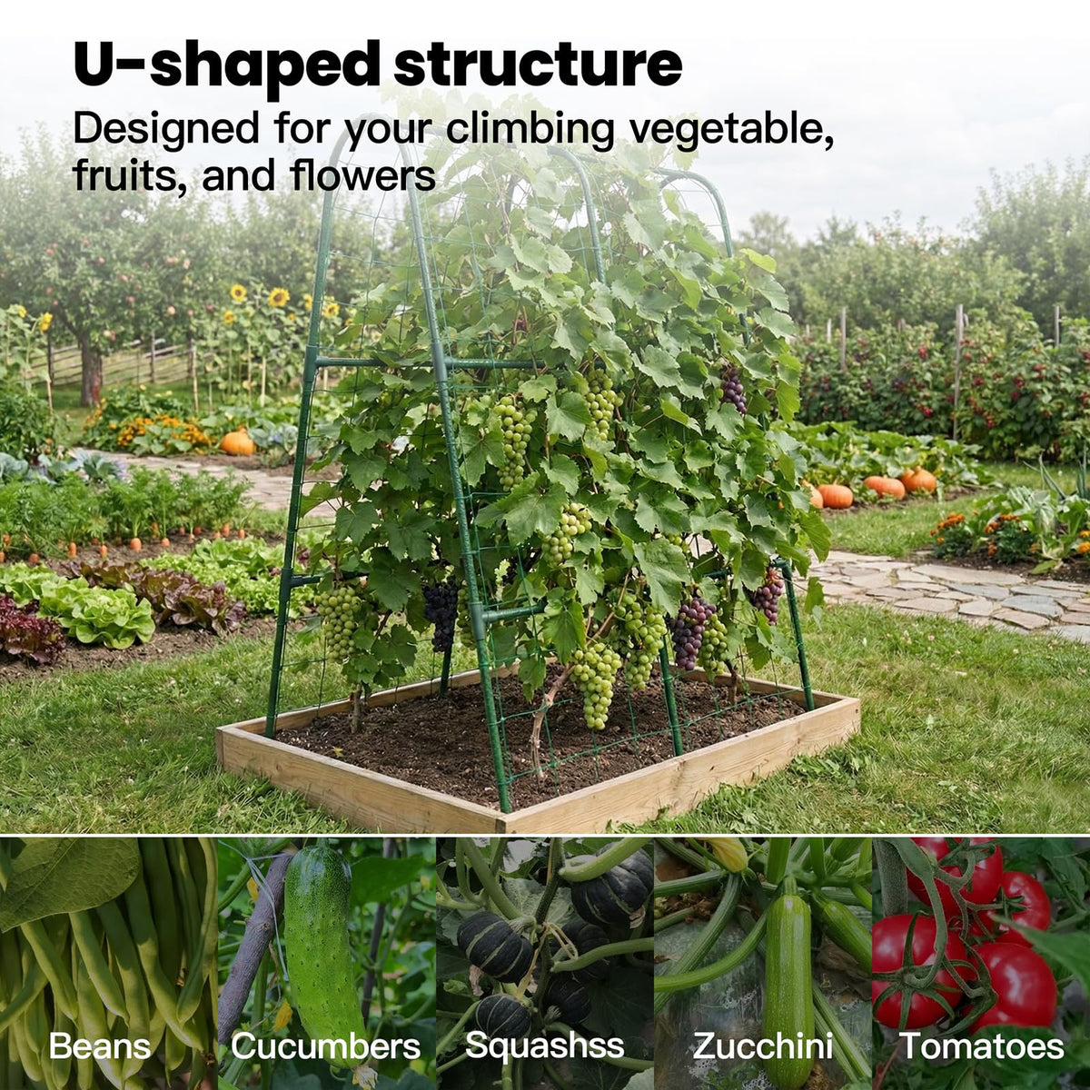 ZATRO cucumber trellis installed in raised bed saving garden space.