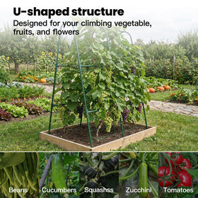 ZATRO cucumber trellis installed in raised bed saving garden space.
