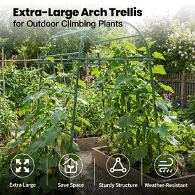 ZATRO Garden Arch Trellis supports climbing plants along a sturdy frame