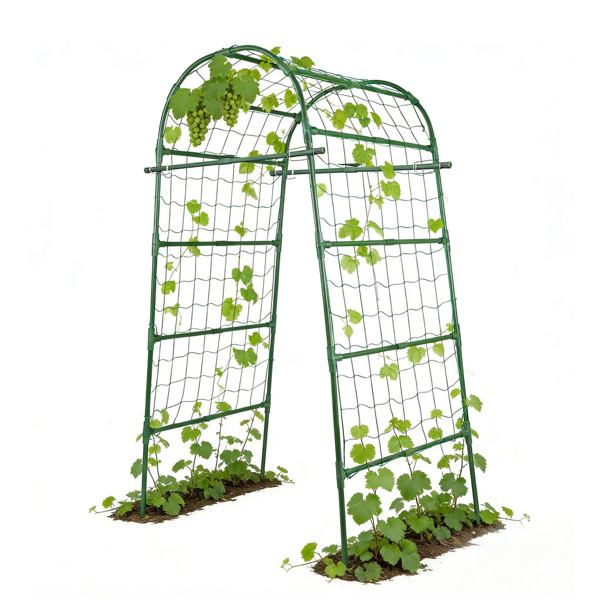 ZATRO Garden Arch Trellis overview: tall arch for climbers in small backyards