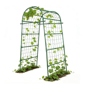 ZATRO Garden Arch Trellis overview: tall arch for climbers in small backyards