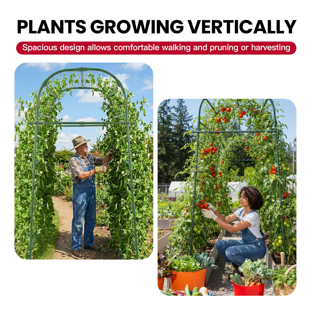 ZATRO trellis supports plants in raised beds with stable stakes