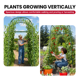 ZATRO trellis supports plants in raised beds with stable stakes