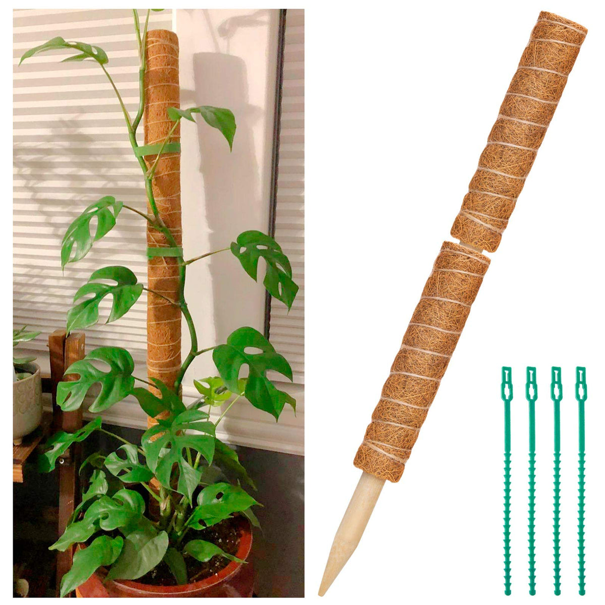 ZAUGONTW coir moss pole 12 inch two-pack ideal for supporting climbing plants.
