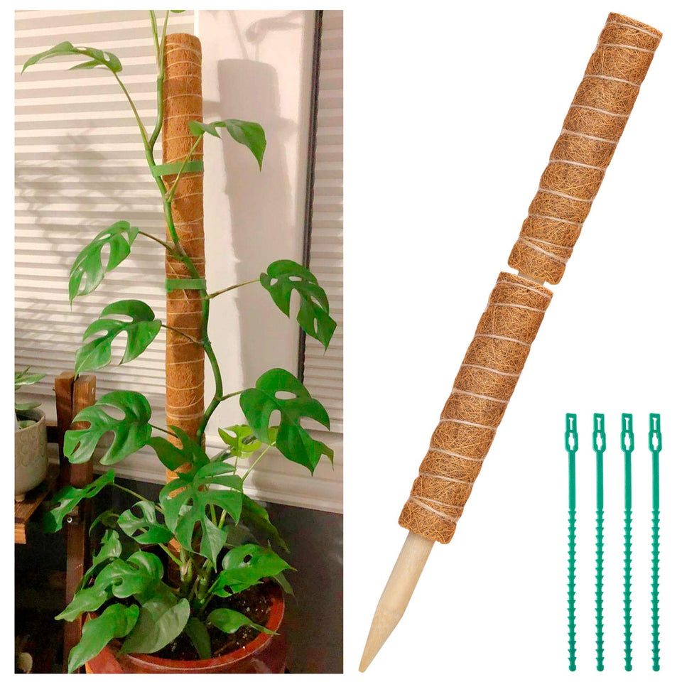 ZAUGONTW coir moss pole 12 inch two-pack ideal for supporting climbing plants.