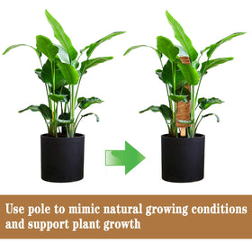 ZAUGONTW natural coconut coir material offers durable eco friendly stakes.