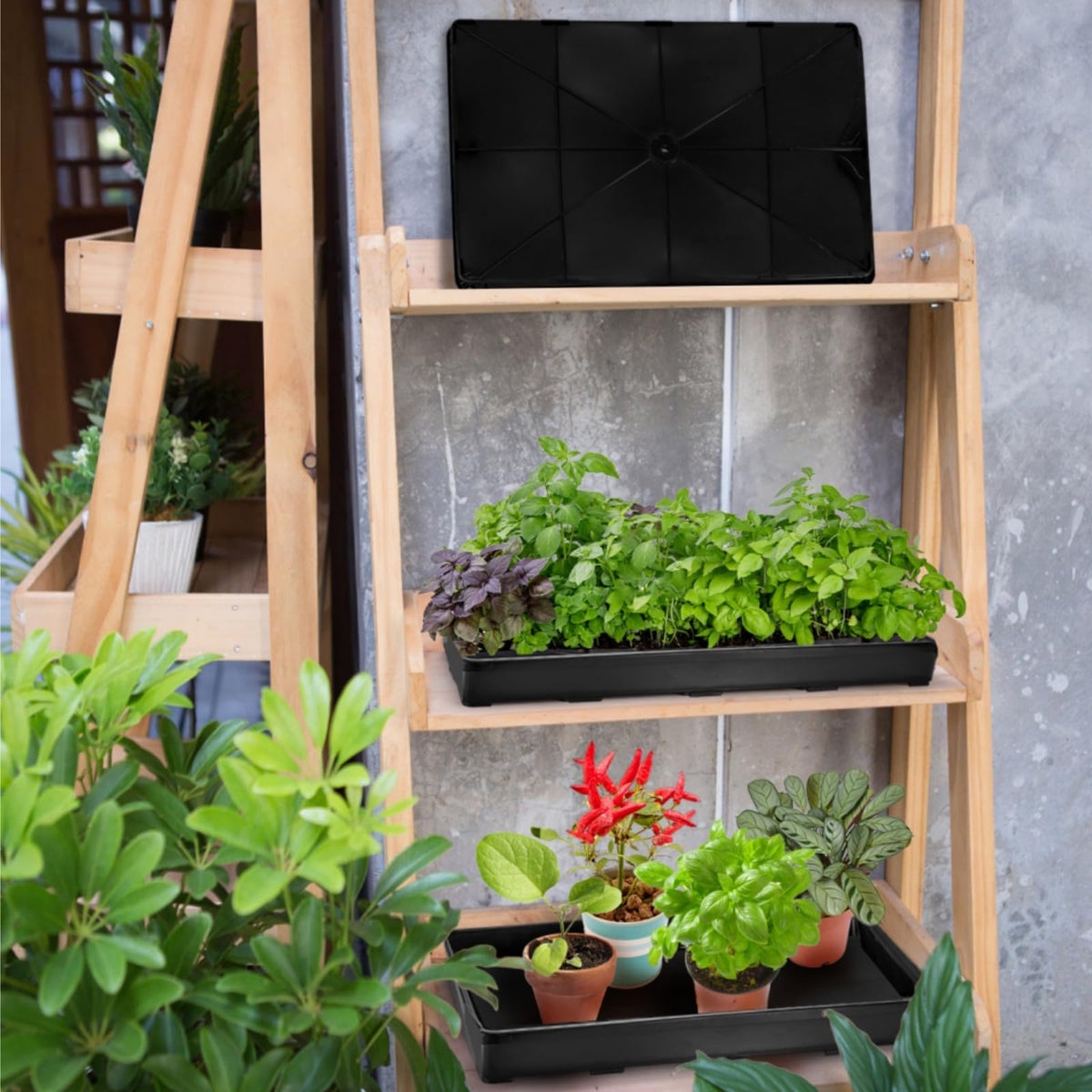 ZAVOOS indoor seed starting tray supports germination in compact spaces.
