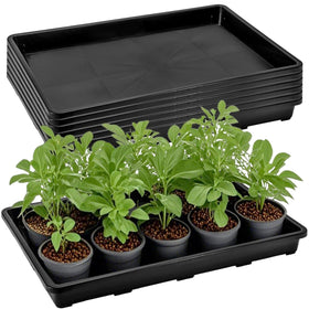 ZAVOOS seedling tray with no drainage holes for tidy indoor watering.