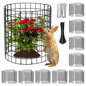 ZEAZEA round plant protector cage shielding a young plant in the garden