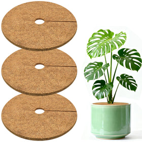 ZeeDix 3-pack coconut fiber mulch ring surrounds a potted plant to retain moisture
