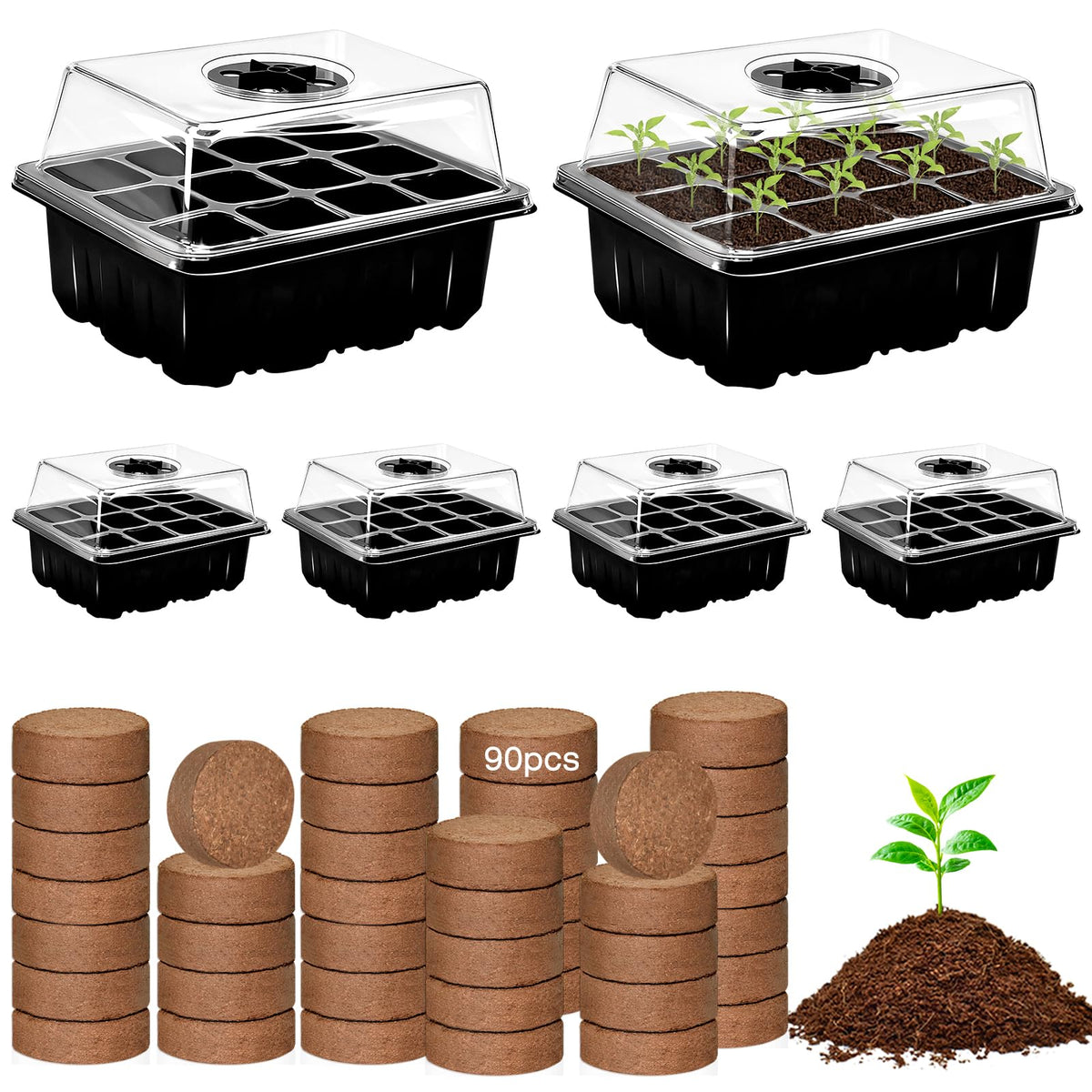 ZeeDix 6-pack seed starter trays with 72 cells for seedlings.