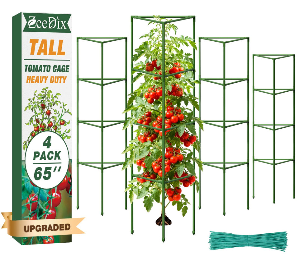 ZeeDix 65-inch tomato cage assembled showing sturdy support for tall plants.