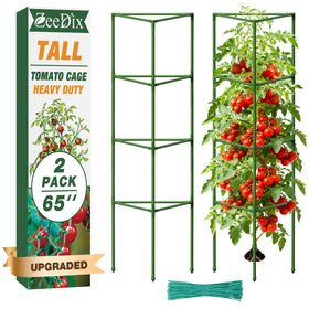 ZeeDix 65-inch tomato cage assembly showing ready-to-use structure for tall plants.