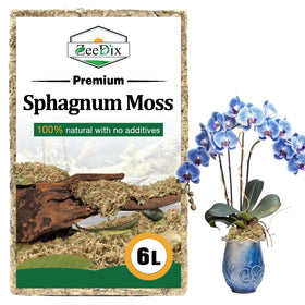 Zeedix 6L moss brick expands when soaked for repotting and terrarium projects