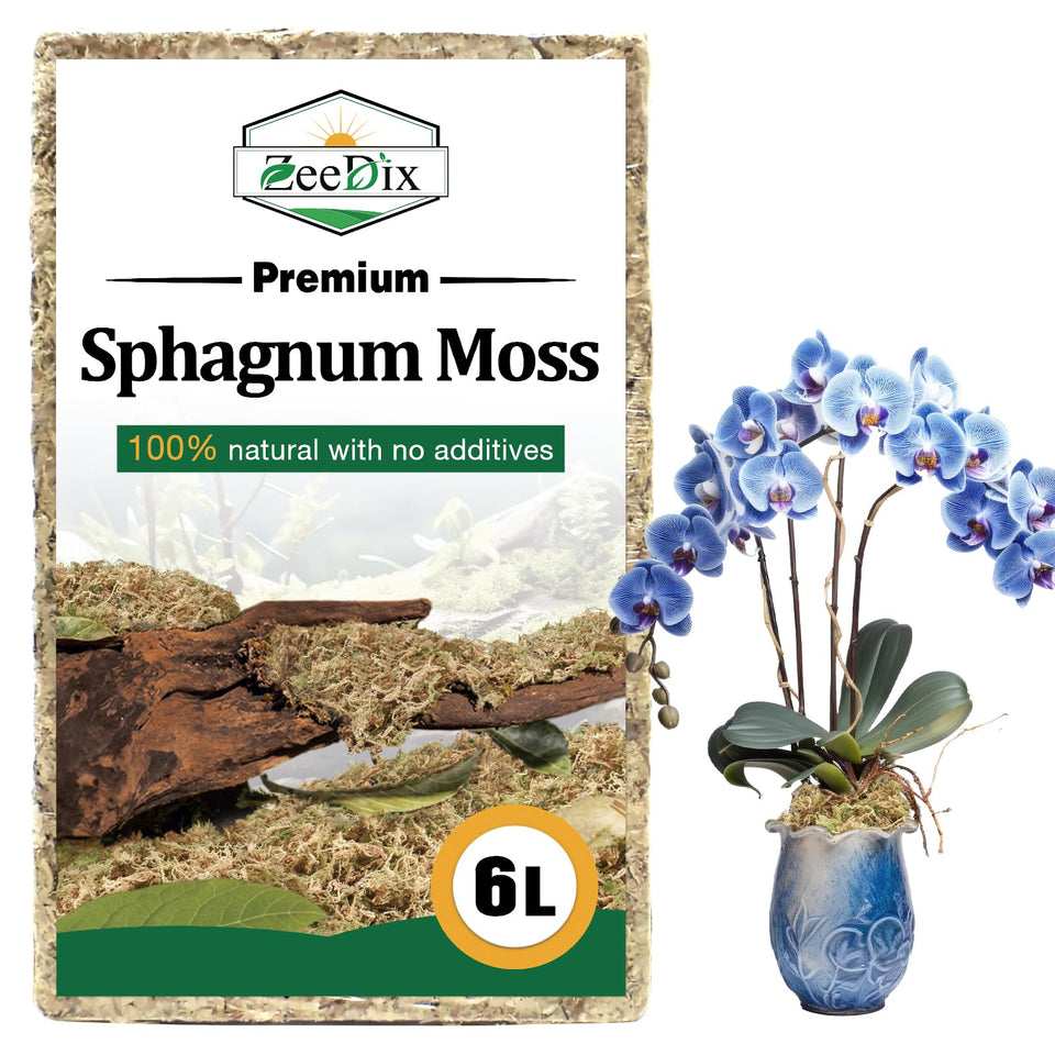 Zeedix 6L moss brick expands when soaked for repotting and terrarium projects