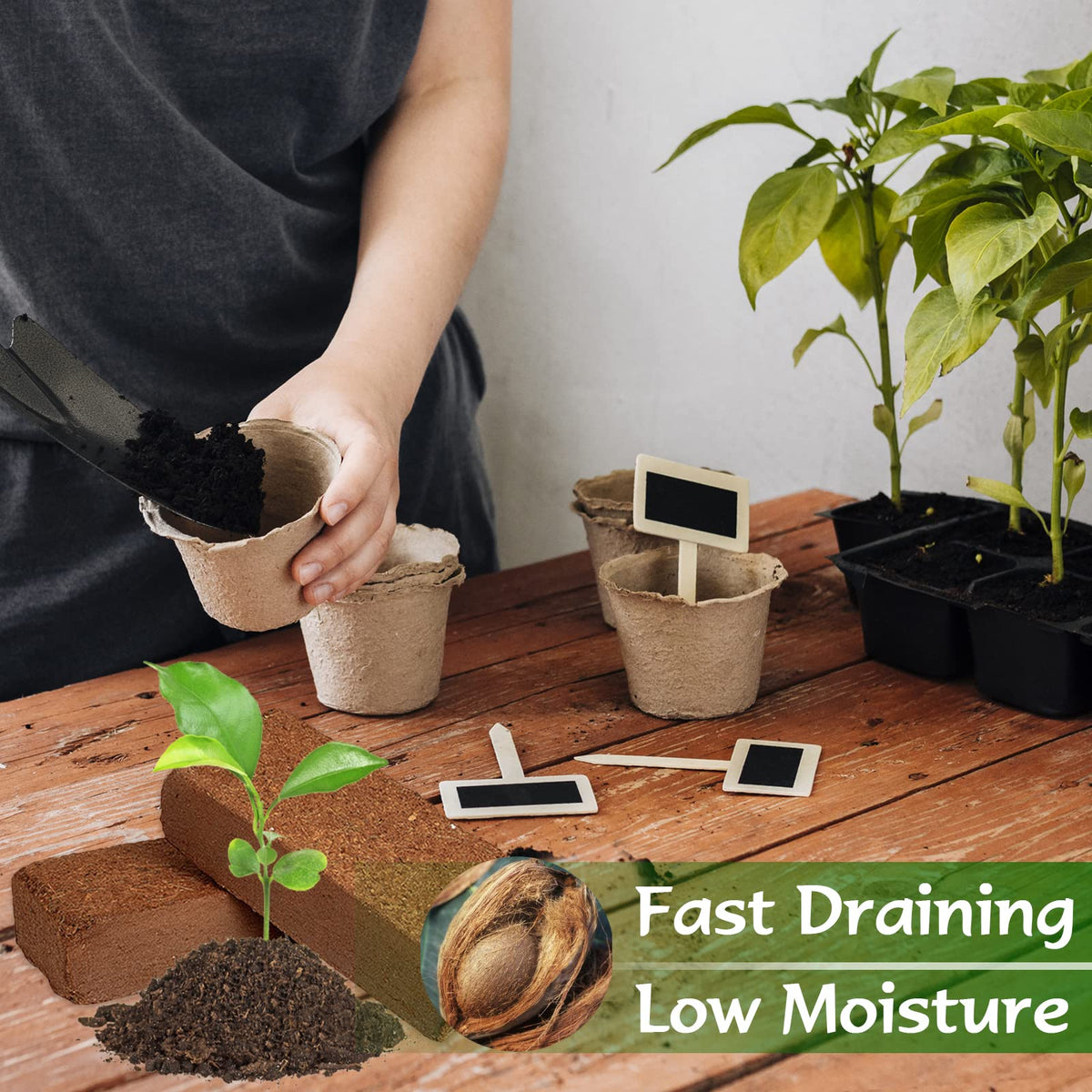 ZeeDix Coco Coir Brick provides moisture and aeration for herbs and flowers.