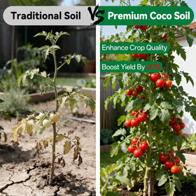 ZeeDix Coco Coir Brick demonstrates high water absorption for healthier root systems.