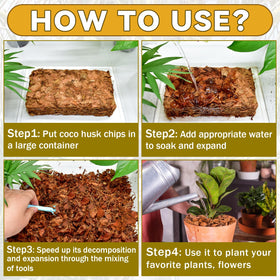 Zeedix Coco Husk Chips terrarium substrate supports breathable moisture balance