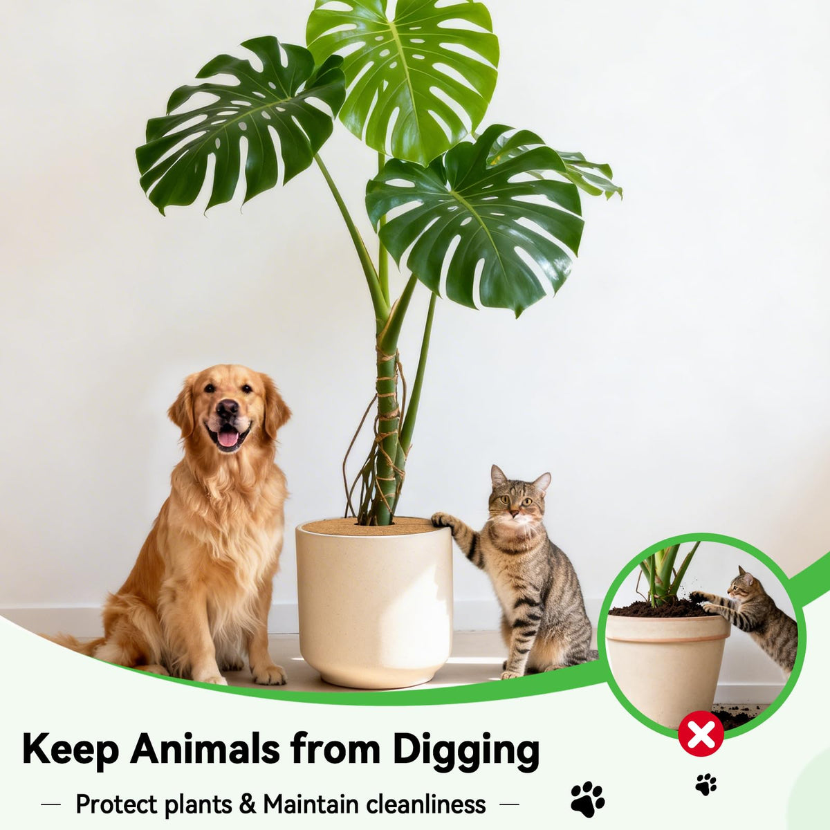 ZeeDix coconut fiber mulch ring suitable for indoor and outdoor use in homes and yards.
