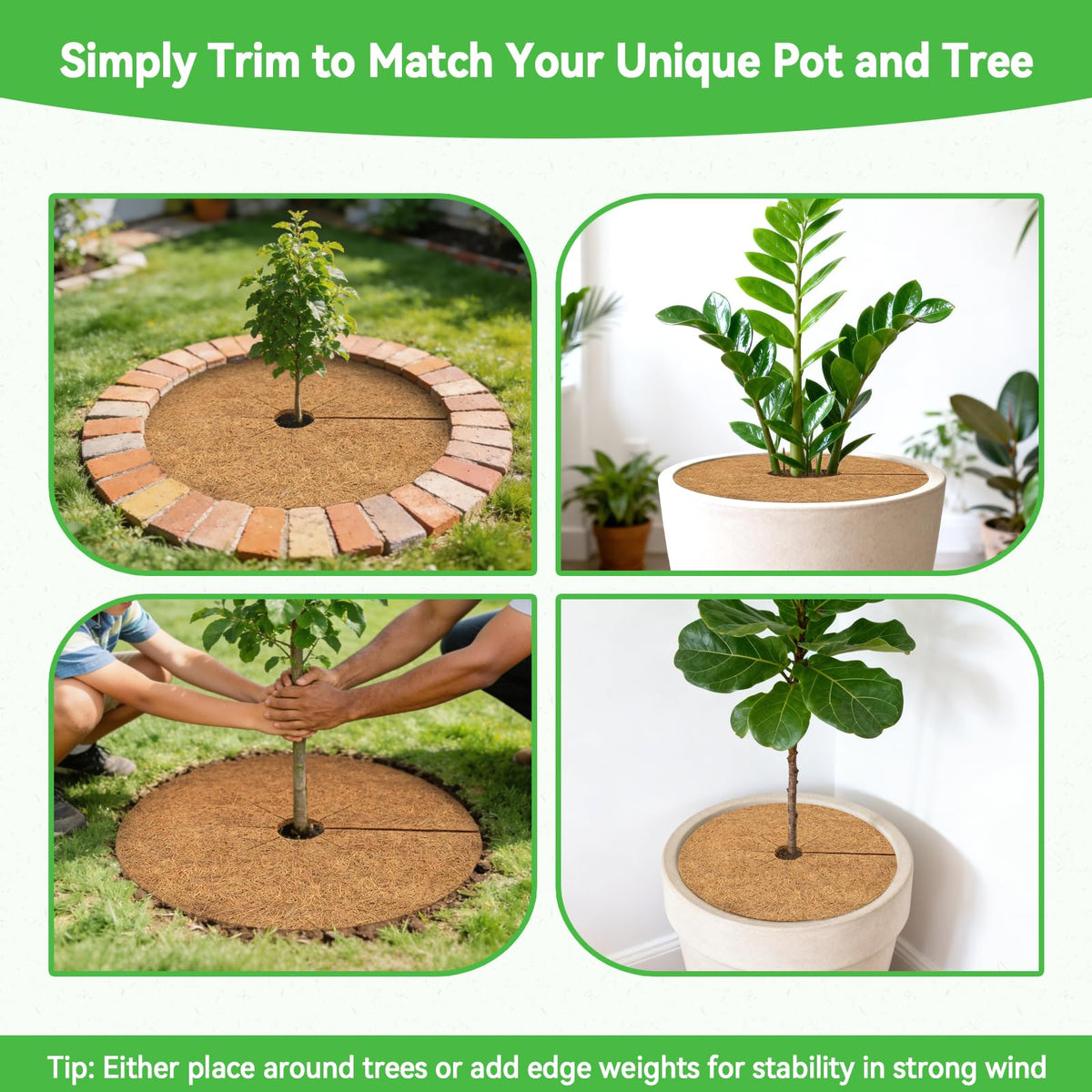 ZeeDix coconut fiber mulch ring acts as a weed barrier while keeping plants organized.