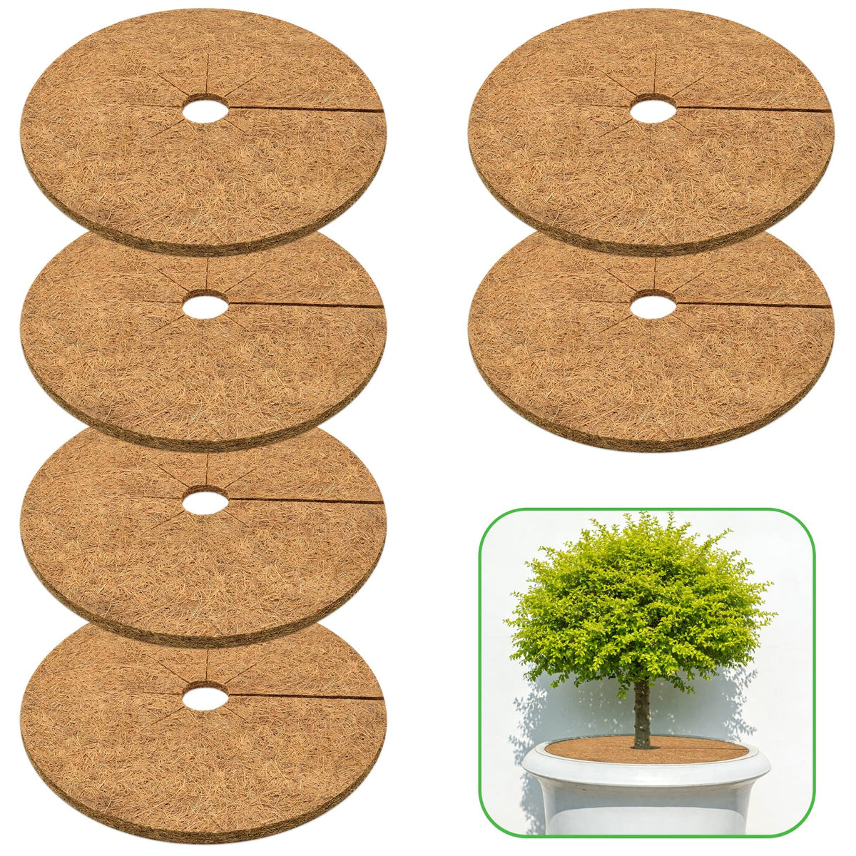 Zeedix coconut mulch ring 6-pack keeps soil tidy and weeds down for potted plants.